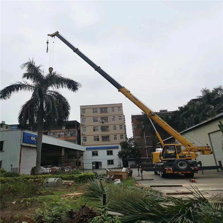 泸定汽车吊出租多少钱？全面解析与市场行情